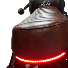 Flexible LED Taillight