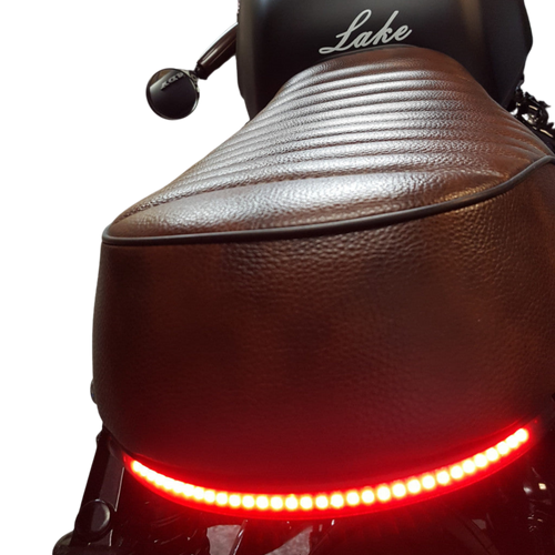 Flexible LED Taillight