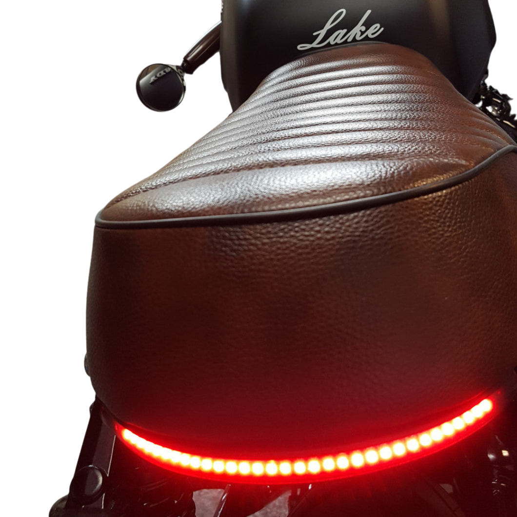 Flexible LED Taillight